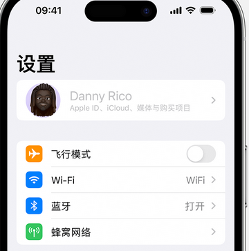 新晃appleID维修服务iPhone设置中Apple ID显示为灰色无法使用 