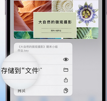 新晃apple维修中心分享iPhone文件应用中存储和找到下载文件