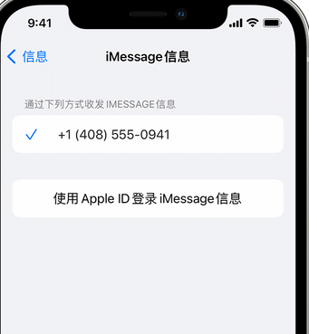 新晃apple维修iPhone上无法正常发送iMessage信息 