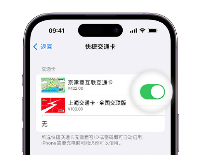 新晃apple维修点分享iPhone上更换Apple Pay快捷交通卡手绘卡面 