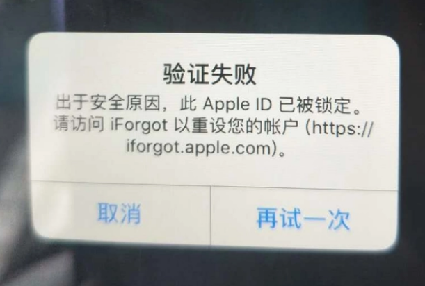 新晃iPhone维修分享iPhone上正常登录或使用AppleID怎么办 