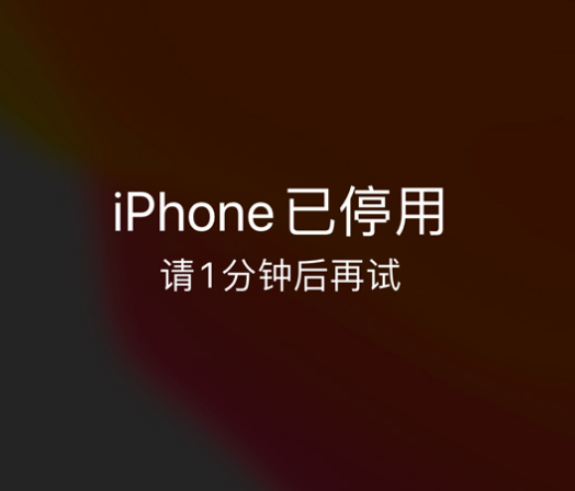 新晃苹果手机维修分享:iPhone 显示“不可用”或“已停用”怎么办？还能保留数据吗？ 