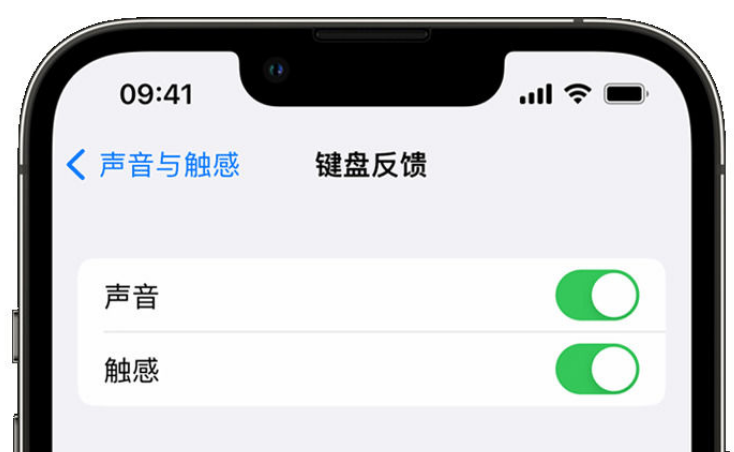 新晃苹果手机维修分享iPhone 14触感键盘使用方法 