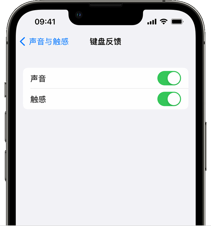 新晃苹果14维修店分享如何在 iPhone 14 机型中使用触感键盘 