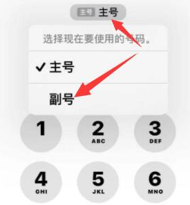 新晃苹果14维修店分享iPhone 14 Pro Max使用副卡打电话的方法 