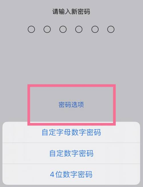 新晃苹果14维修分享iPhone 14plus设置密码的方法 