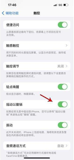 新晃苹果手机维修分享iPhone手机如何设置摇一摇删除文字 